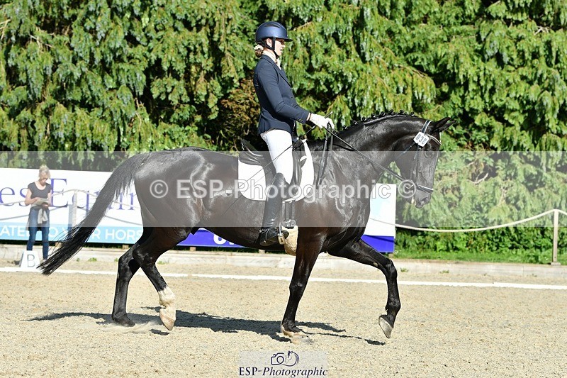 230623-174338-01594 - Cls 8 Medium 73Q