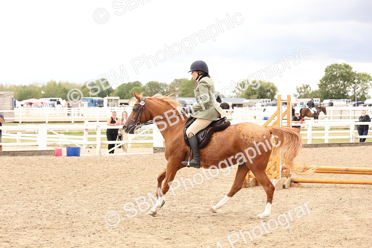 SBM_06264 - Class 57b -  Style & Performance - 60cm (20+)