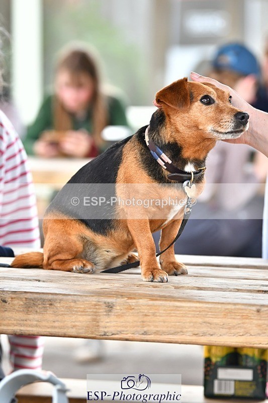 230817-154018-03111 - Presentations