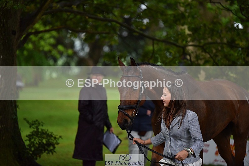 240522-153636-00473 - 381-MADFORD_LAW-Anna_Johannson