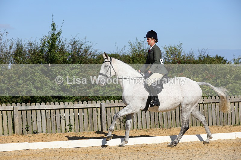 1X9A7795 - Class 9: Open Ridden Hunter