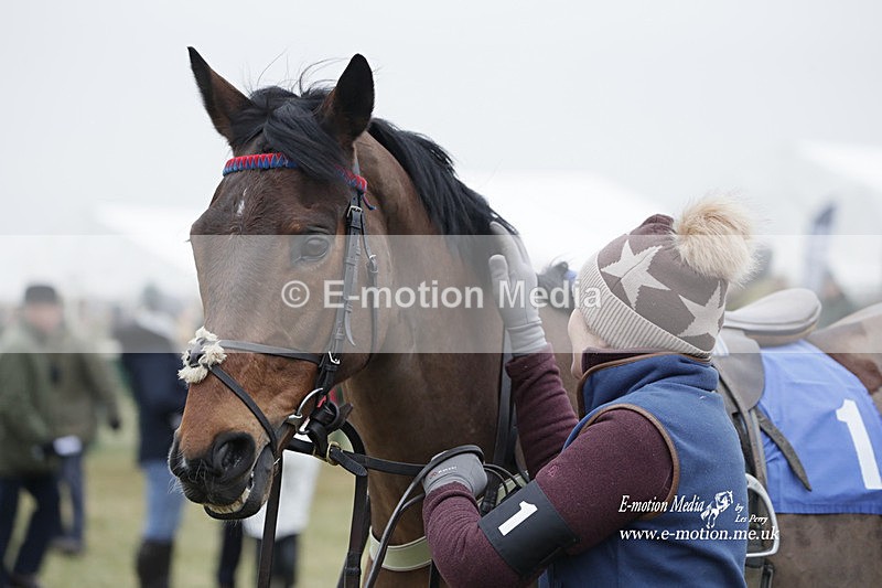 PtP 040323 765 - Duke of Beauforts Hunt Point-to-Point Didmarton 04/03/23