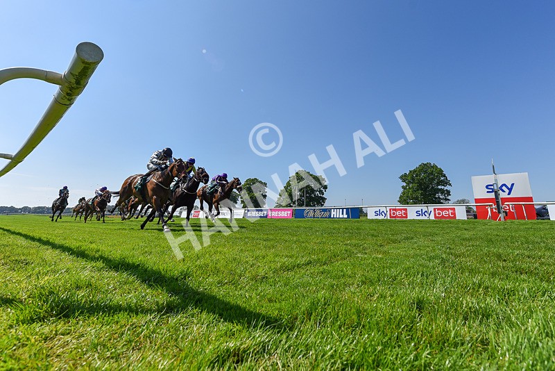 180524-Race 3-Burning Cash-6532 - Race 3