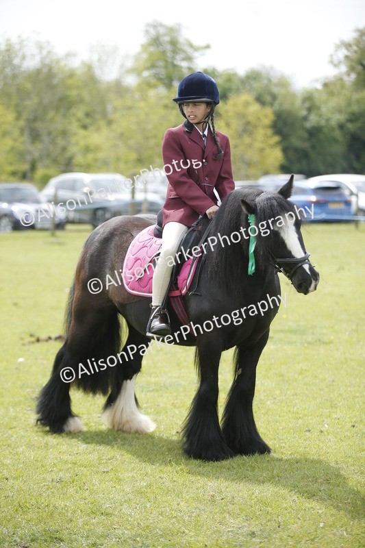 20260426-3467 - Class 11 - Best Mane and Tail