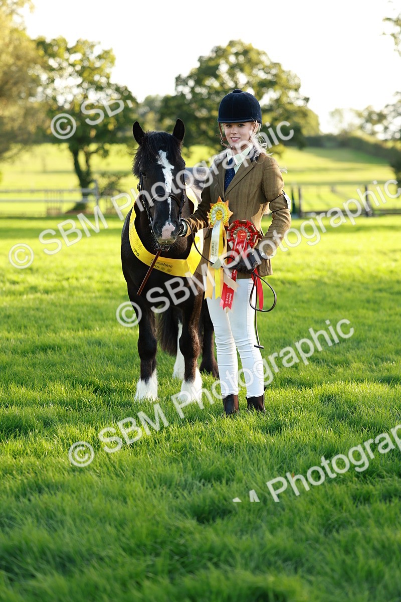 SBM_29341 - Novice & newcomer Supreme Championship