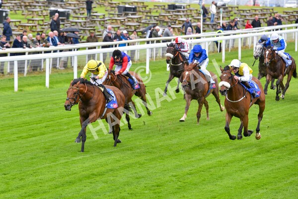 yr11052022r1-23 - Race 1 1.50pm Sky Bet Race to the Ebor Jorvik Stakes