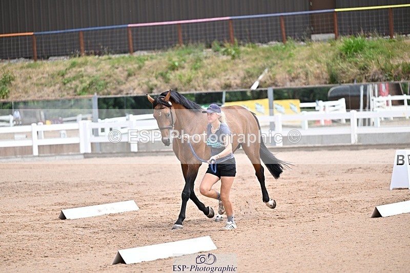 250716-130953-00375 - Trot Up 12.30 to 1.30