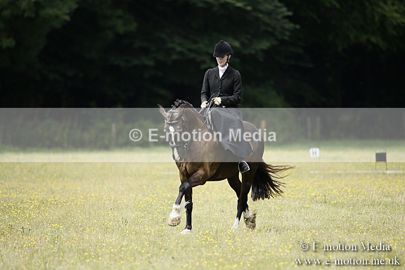 BVR160717-1591 - Side Saddle Classes 16/07/17