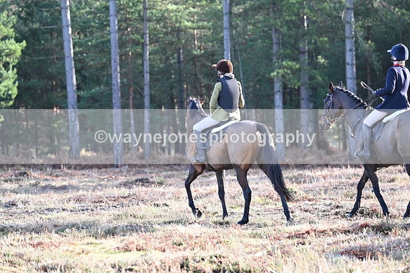 WJ7_7258 - Line 3 (no line 4 or 5)