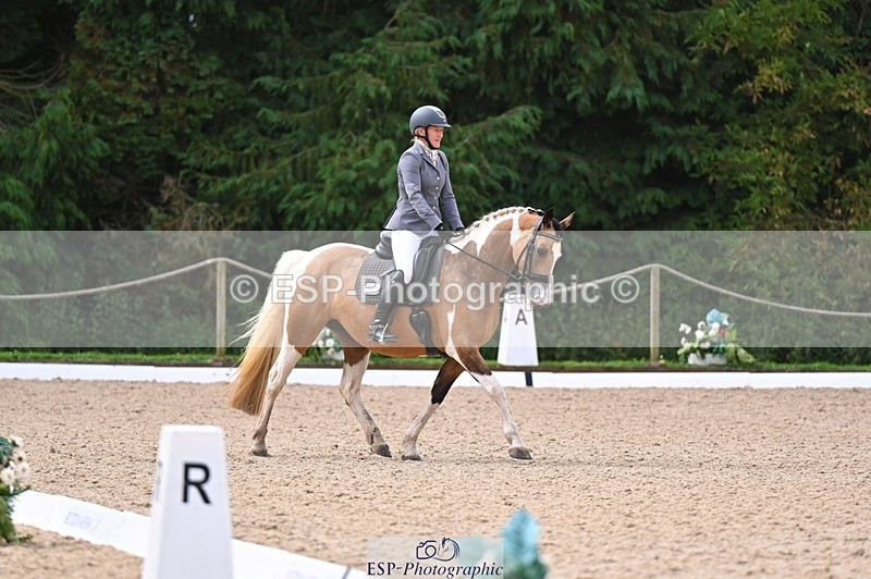 240809-104745-00284 - 157-Judi.Roome-Custard.Cream