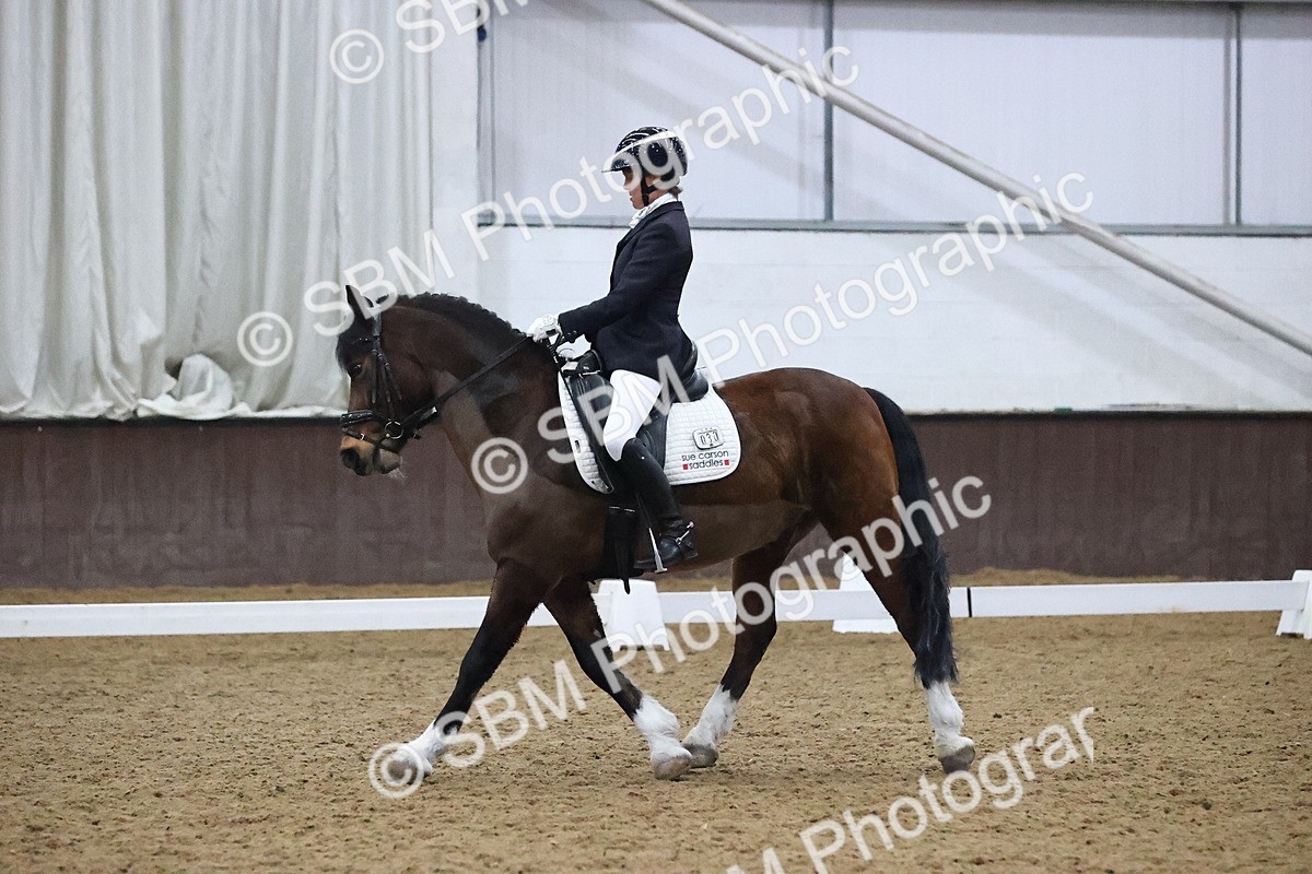 SBM_004517 - Class 8 - Medium 5