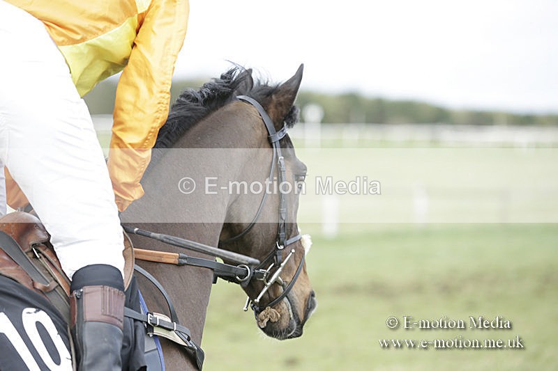 PtP 150320 0649 - New Forest Point-to-Point Larkhill 15/03/20