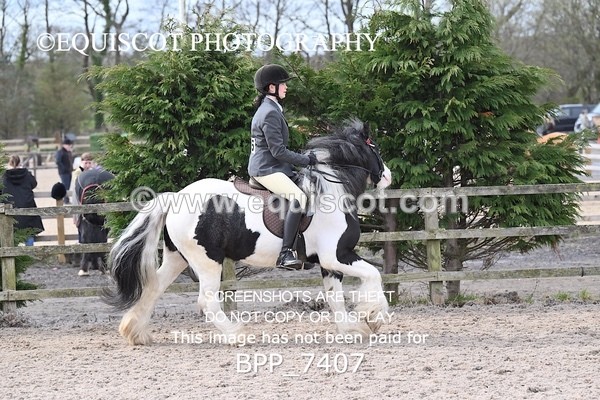 BPP_7407 - RING 1  (RIDDEN HORSES / IN HAND / VETERAN ETC)