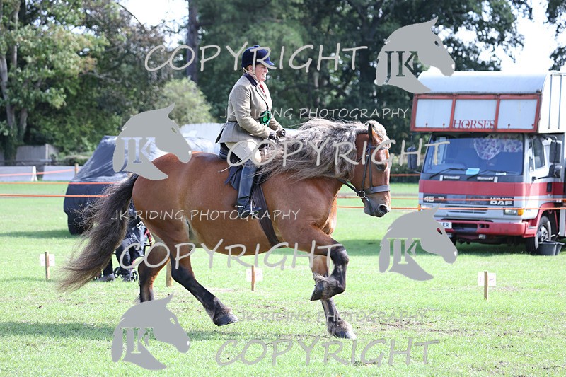 APP_3775 - Class 8 Ridden Class