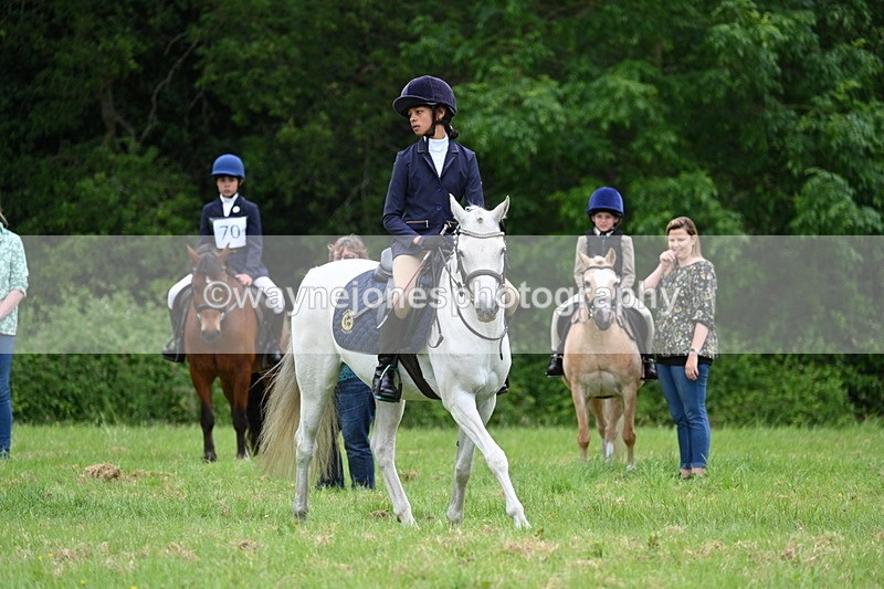 WJ7_4023 - Class 14A Handsome Gelding
