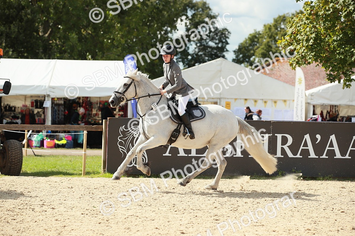 SBM_06324 - J29 Senior 65cm Championship