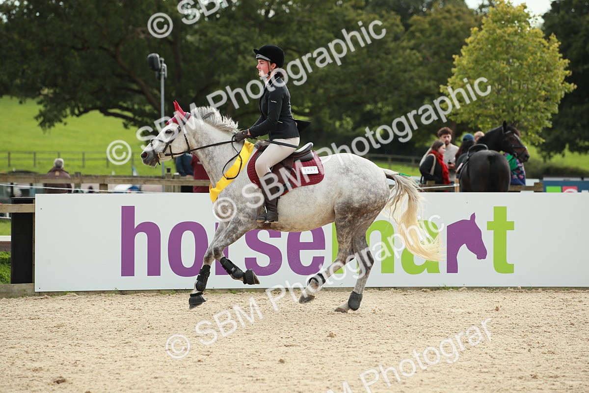 SBM_10277 - J31 Senior 75cm Championship