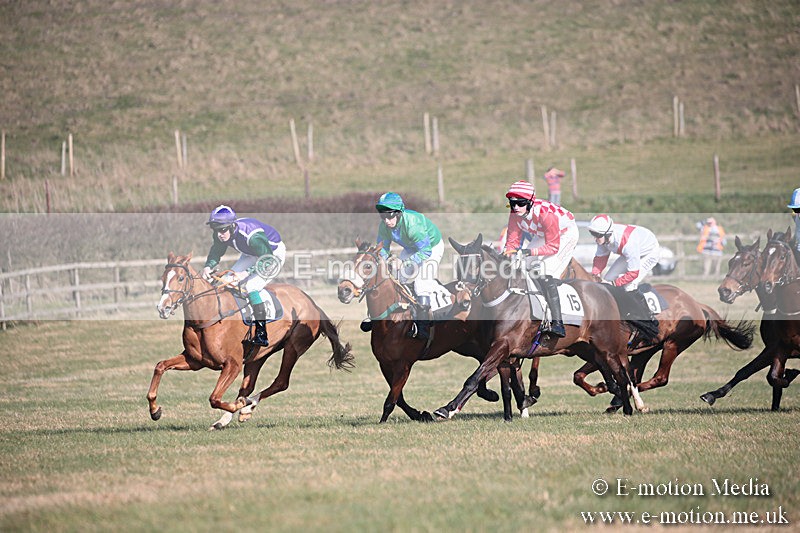 PtP 230219 209 - Vine & Craven Point-To-Point - Barbury 23/02/19