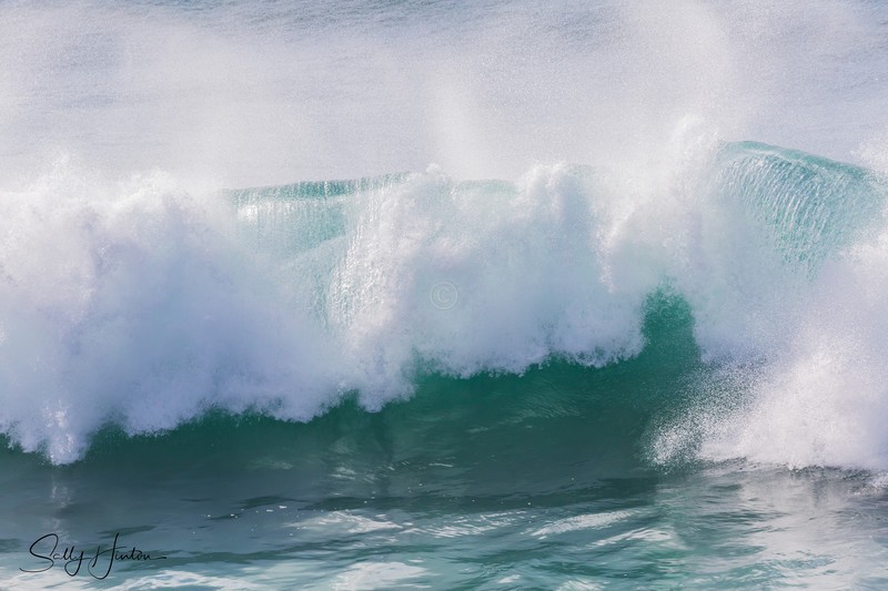 Waves large 15