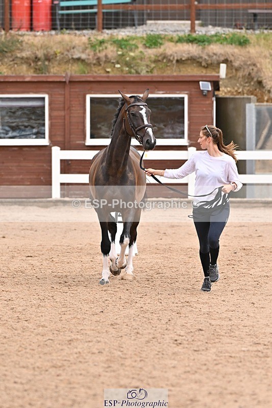 250716-144136-01311 - Trot Up 2.30 to 3.30