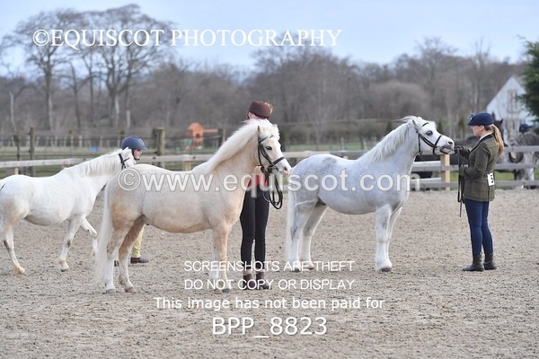 BPP_8823 - RING 2 - M&M