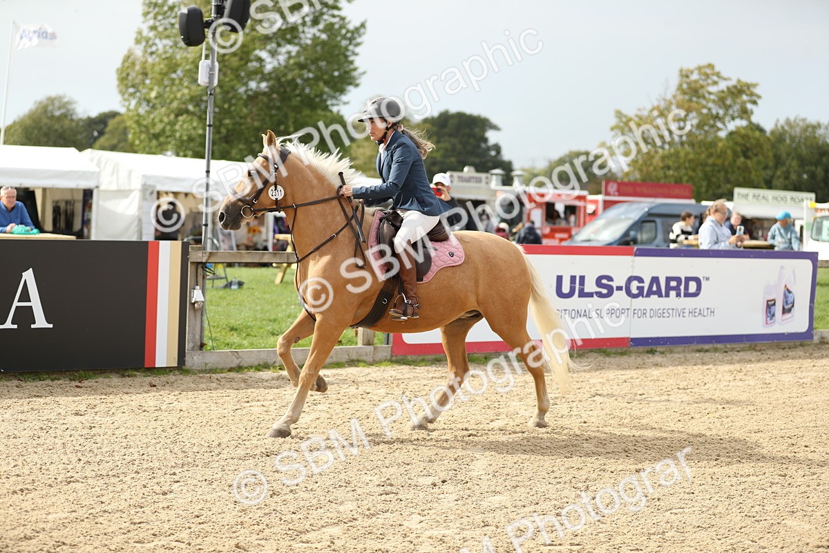 SBM_08958 - J30 - Senior Horse & Pony 70cm Championship