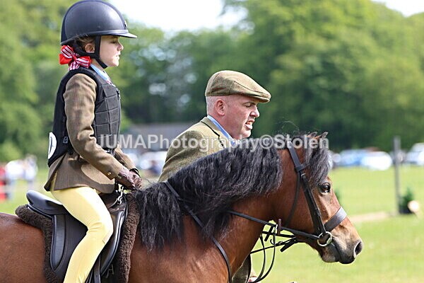 IMG_2169 - Working Hunter