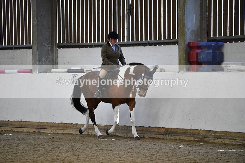 WJ5_5902 - Class 9 Ridden Veteran