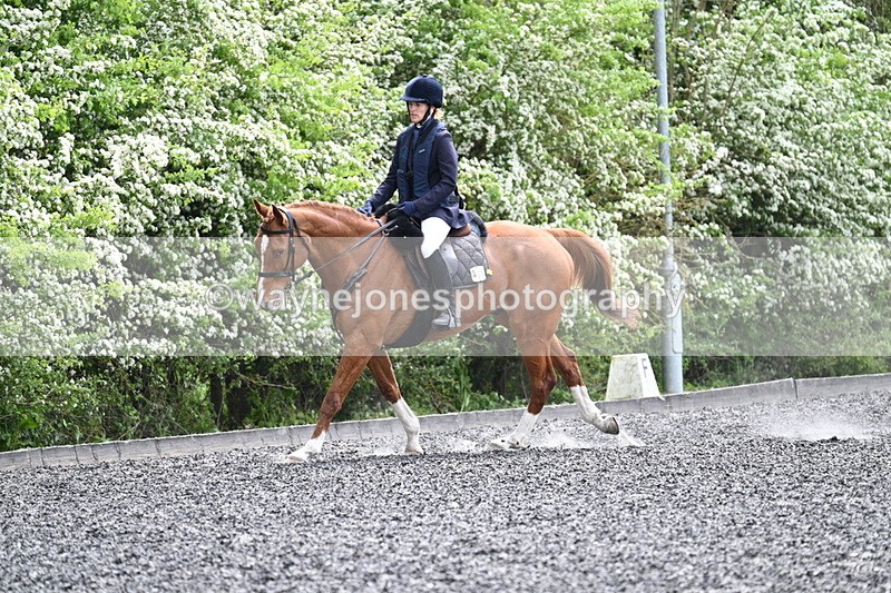 WJ7_0813 - Time 14:01 to 14:12