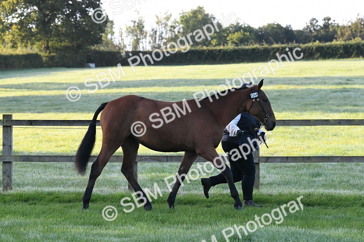 SBM_32563 - S15 - Condition & Turnout In Hand