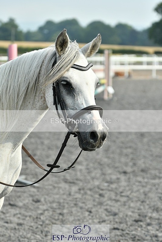 230817-094509-00242 - Theo's 1st Group - Arena