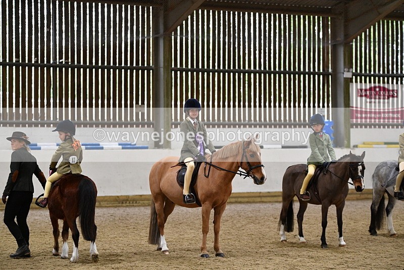 WJ5_7147 - Class 10 Childs Pony
