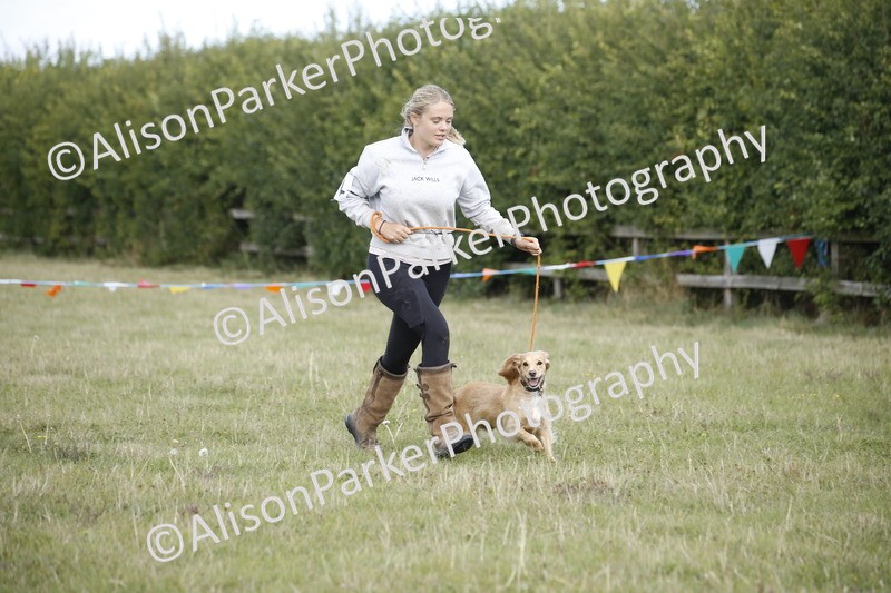 20250831-3864 - Dog Show