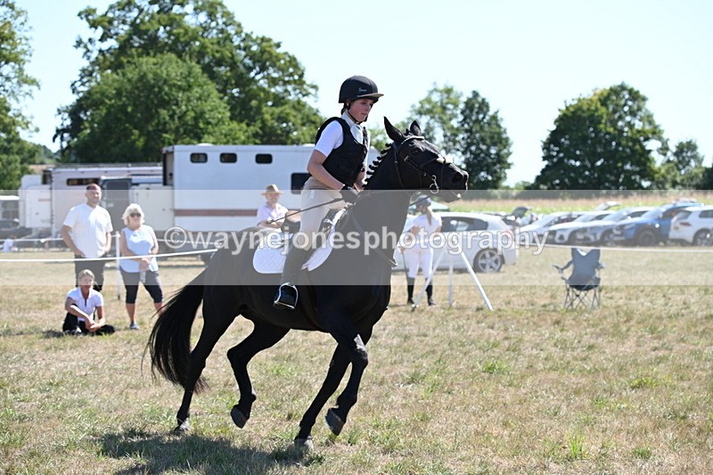 WJ6_8918 - Class 38 Ridden Riding Horse/Pony