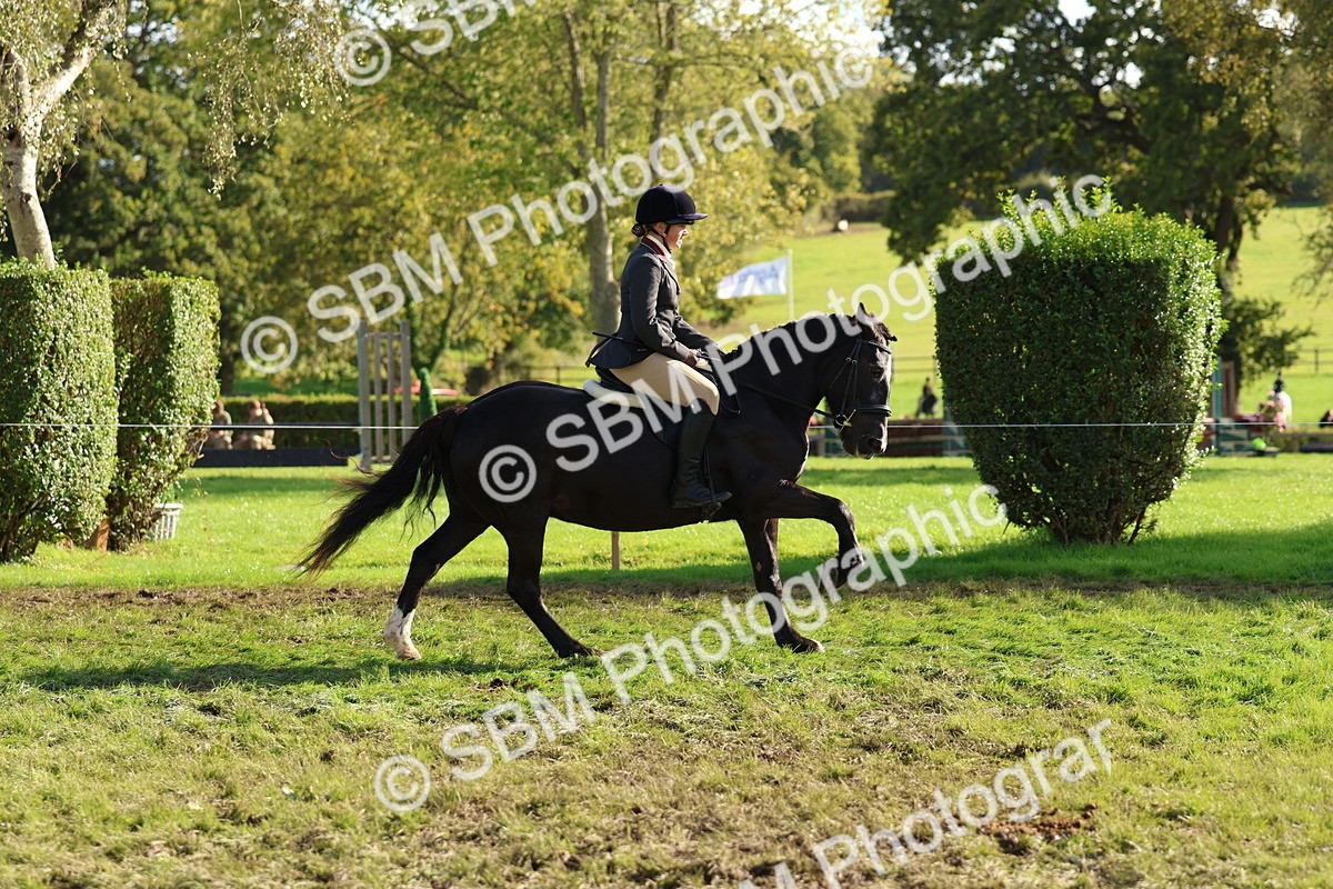 SBM_52408 - S13 - Pony Club Pony