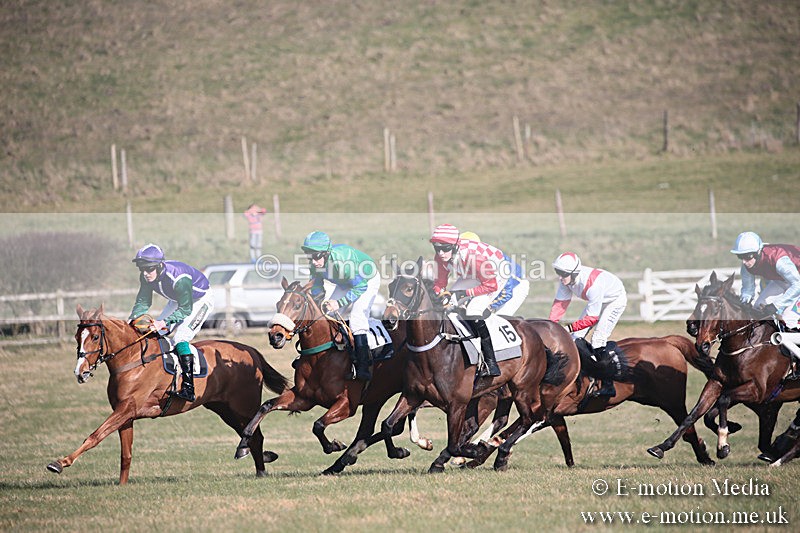 PtP 230219 206 - Vine & Craven Point-To-Point - Barbury 23/02/19