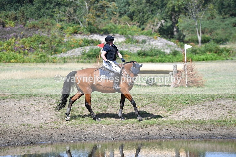 WJ5_2411 - XC Time 11:17 to 11:50