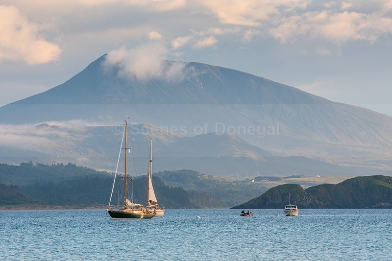 DSC_9145 - Others