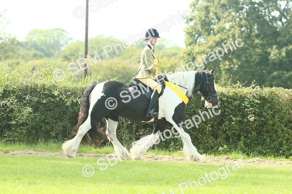 SBM_68989 - S58 - Mini Show Cob Ridden