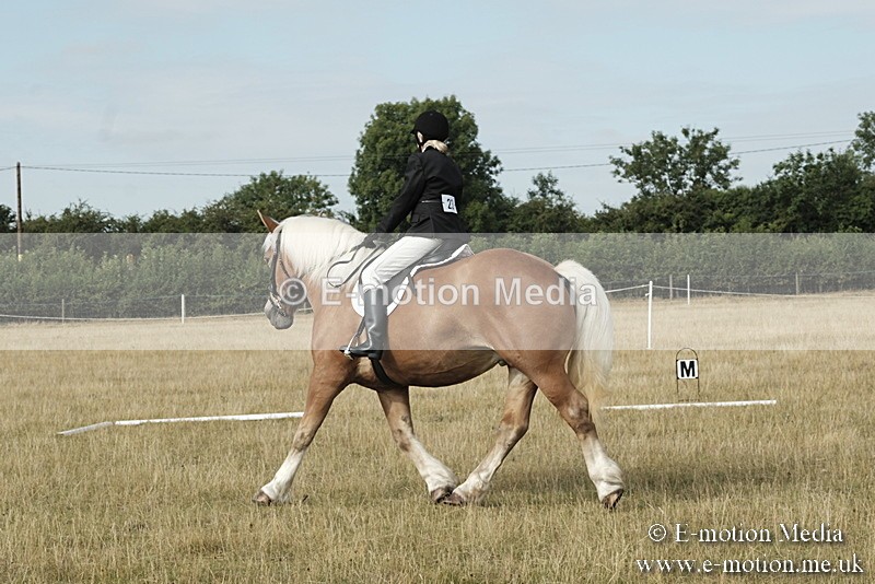 _PJP5594 - Dressage Classes BVRC Show 2018