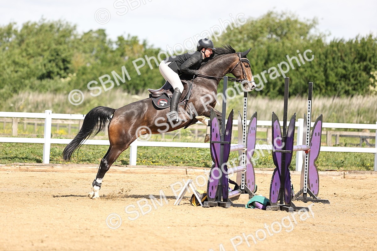 SBM_002072 - Class 9 - Senior British Novice - 90cm