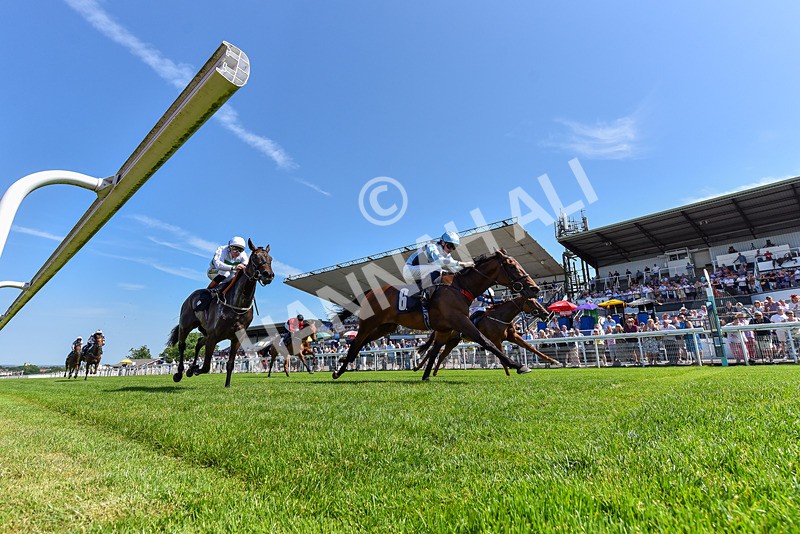 230626-Race 3-Tamzan-1320 - Race 3 15.15pm Big Racing Weekender Next 3 And 4 July Restricted Maiden Stakes