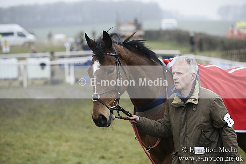 PtP 020418 -75 - Old Berks Point-to-Point Races Easter Monday 02/04/18