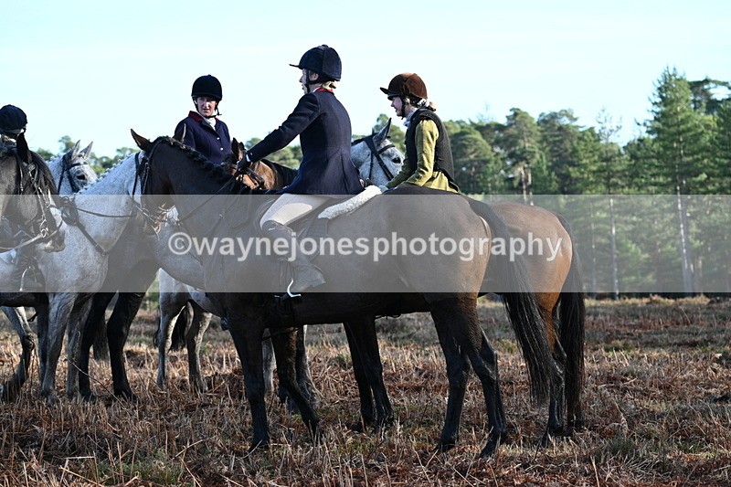 WJ7_7195 - Line 3 (no line 4 or 5)