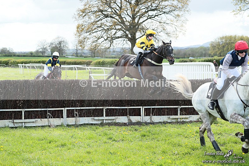 PtP 180426 796 - Worcestershire Hunt PtP Chaddesley Corbett 18/04/26