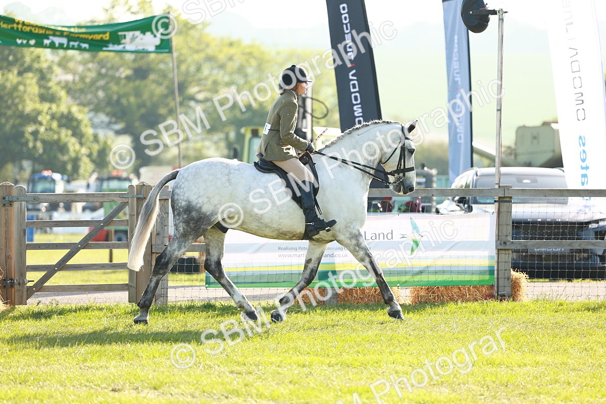 SBM_10725 - Class 66-69 - RIHS Ridden Hunters Inc Small Hunter