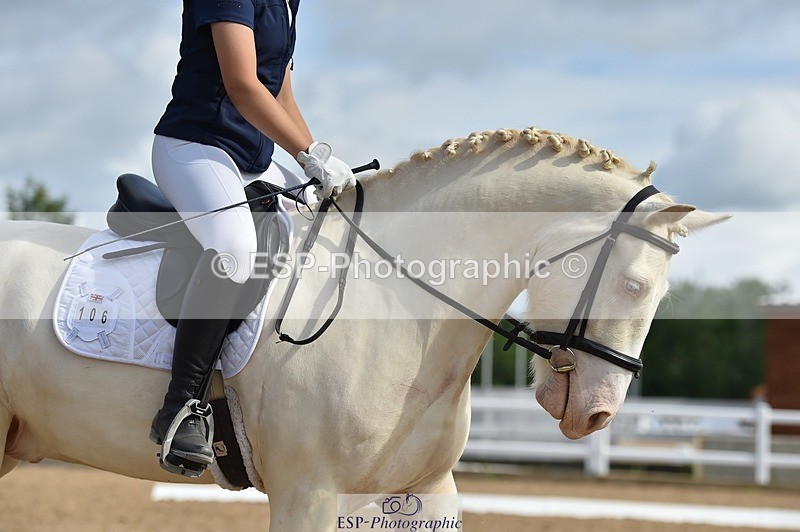 250622-094250-12823 - Quest Cls 19-24 Intro Tests