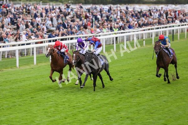 210824-Race 3-Los Angeles-7257 - Race 3 3.00pm Sky Bet Great Voltigeur Stakes