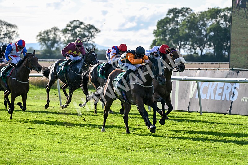 140926-Race 7-Forest Caper-7941 - Race 7 5.21pm Bowel Cancer Screening Programme Saves Lives Handicap