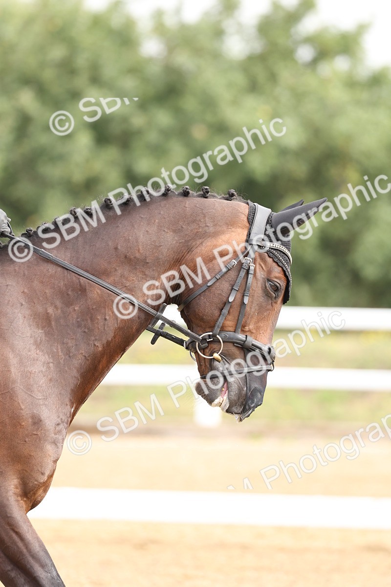 SBM_005405 - Class 6 - Novice 6 - 9.30-10.12